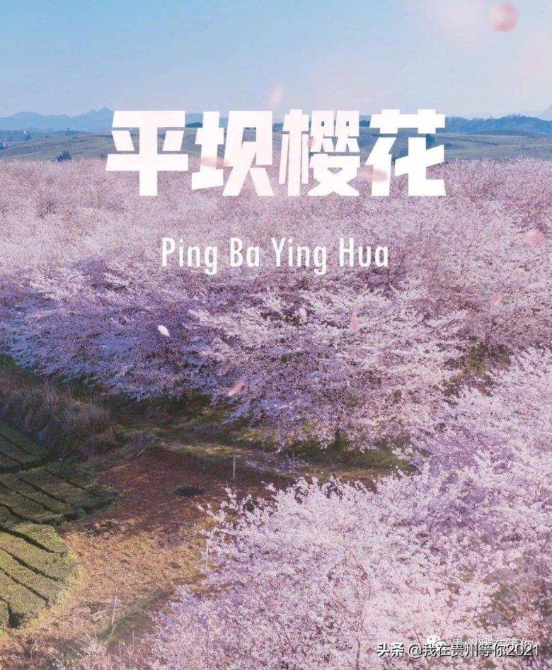 女生汗脚脚臭怎么办？游戏画面